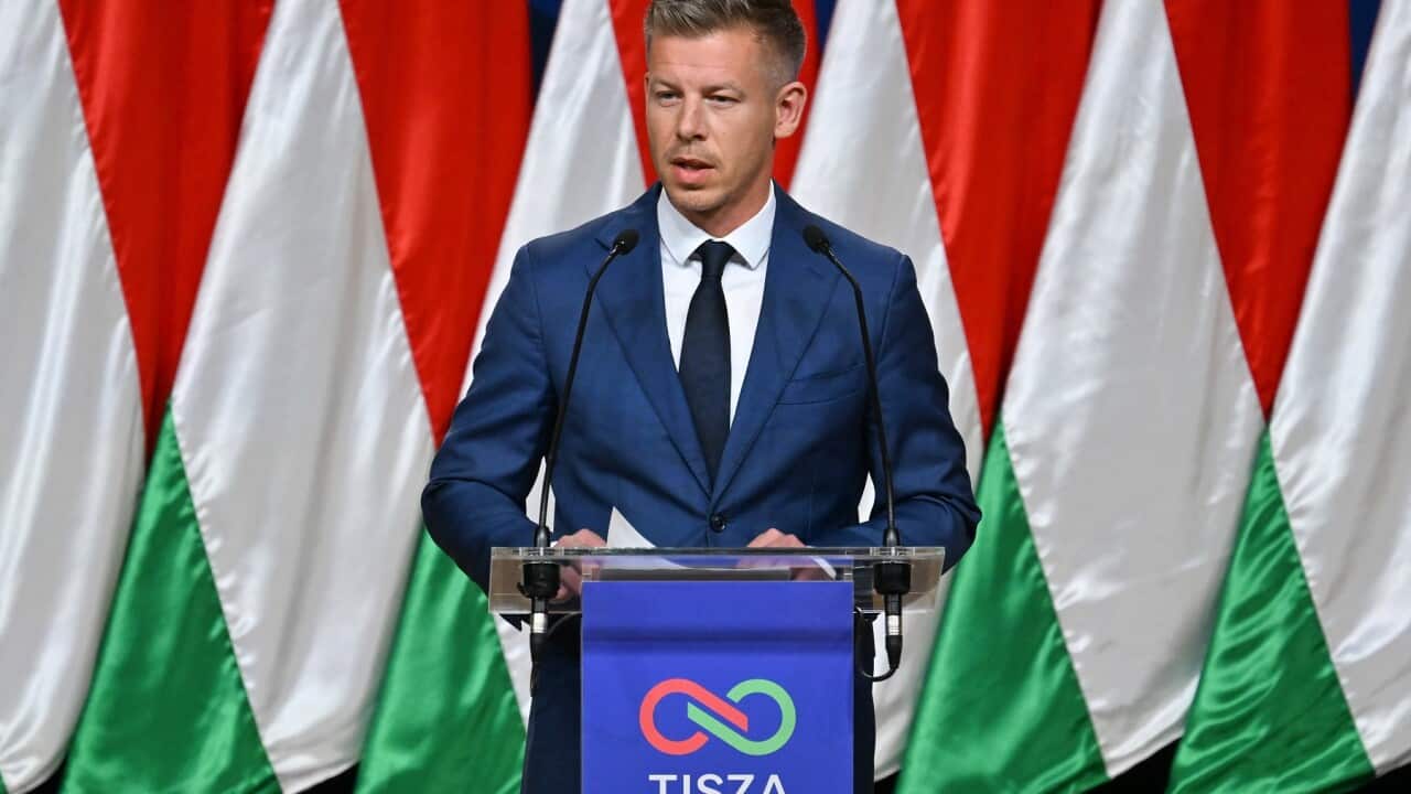Hungary's Tisza party wins parliamentary elections