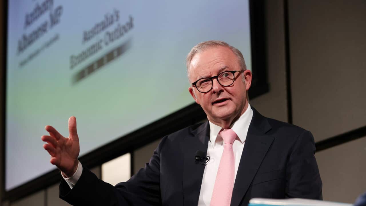 ANTHONY ALBANESE ECONOMIC OUTLOOK