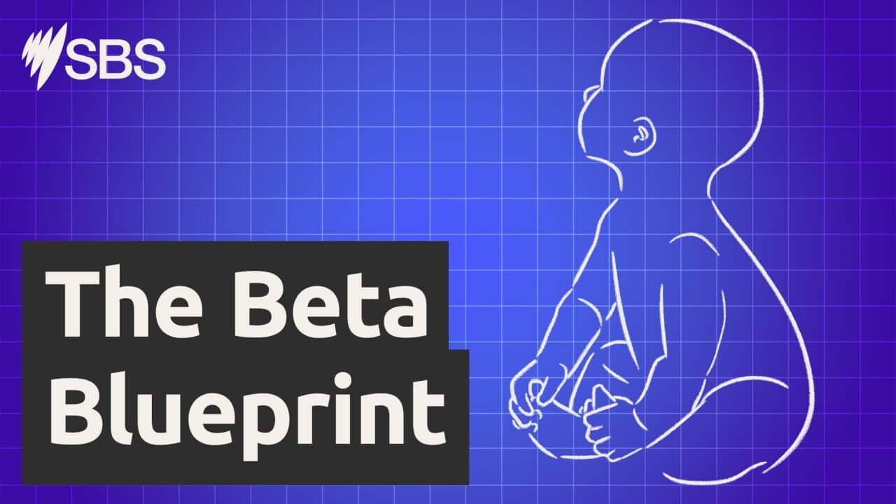 THE BETA BLUEPRINT 16x9 SERIES TITLE 16x9.jpg
