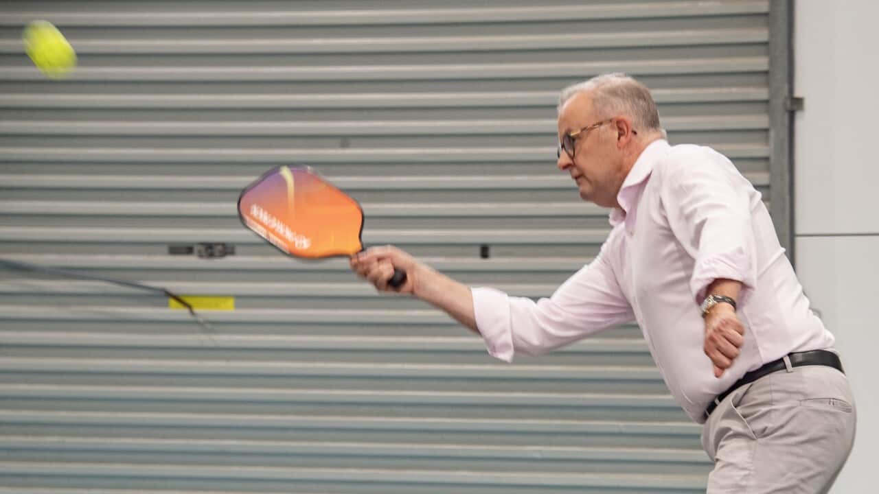 ANTHONY ALBANESE CAIRNS VISIT