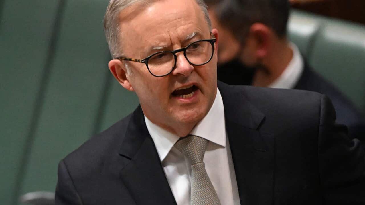 Prime Minister Anthony Albanese in parliament.
