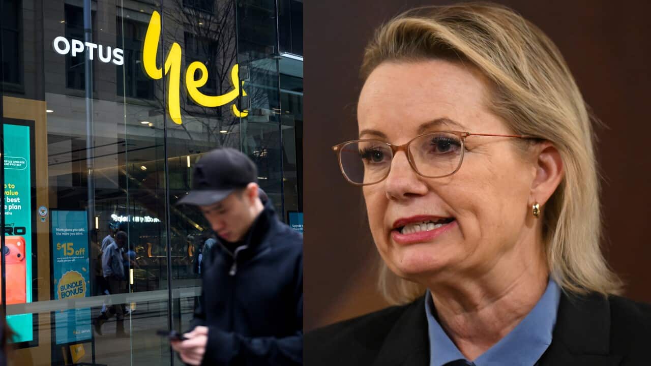 Image for read more article 'READ MORE'