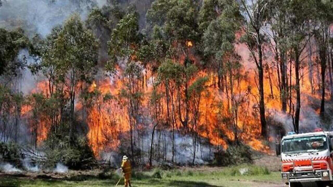 Bushfire