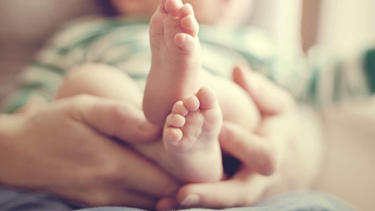 Mother holding tiny baby feet.