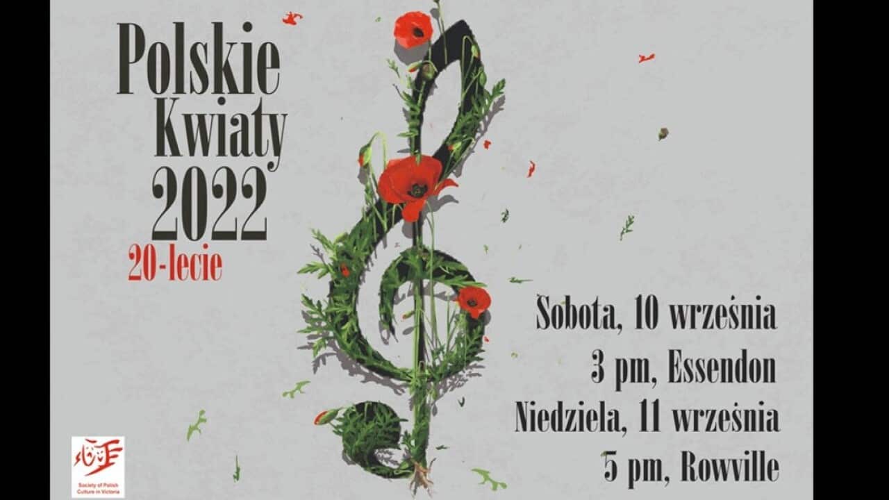 Polskie kwiaty 22 (2).jpg
