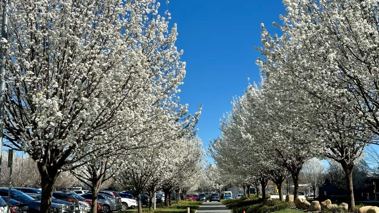 Image for read more article 'READ MORE'