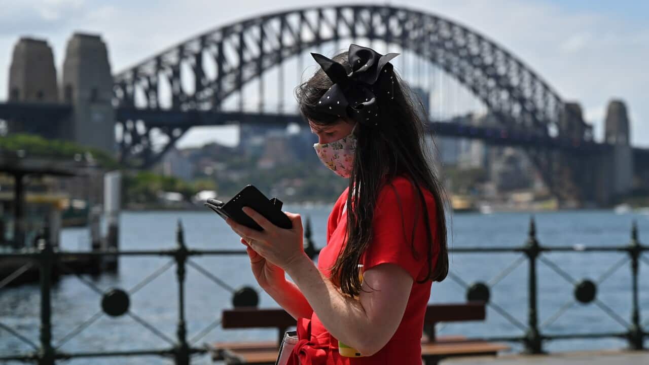 A woman in a red dress wears a mask while looking at her phone at Circular Quay in Sydney.
