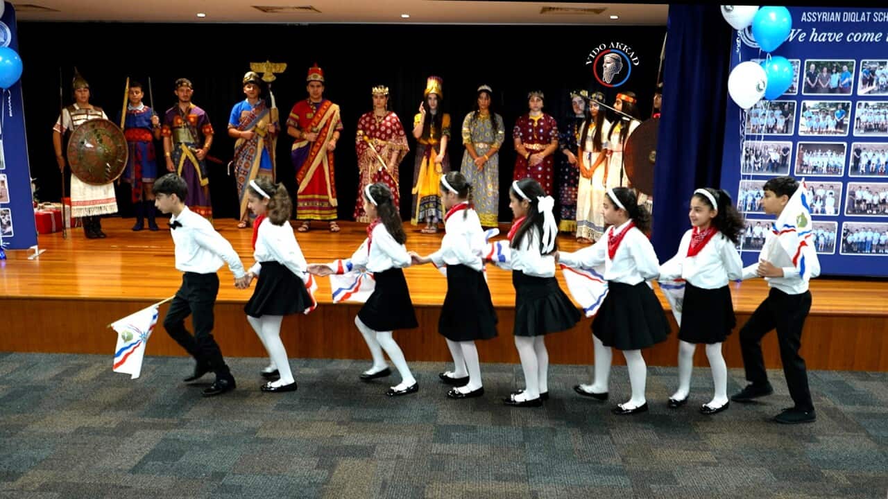 asyrian australian.jpg