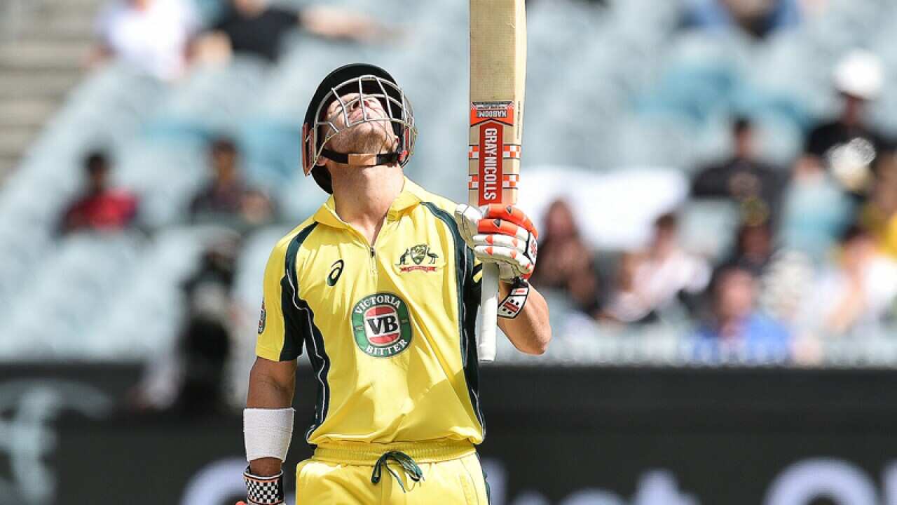 David Warner of Australia