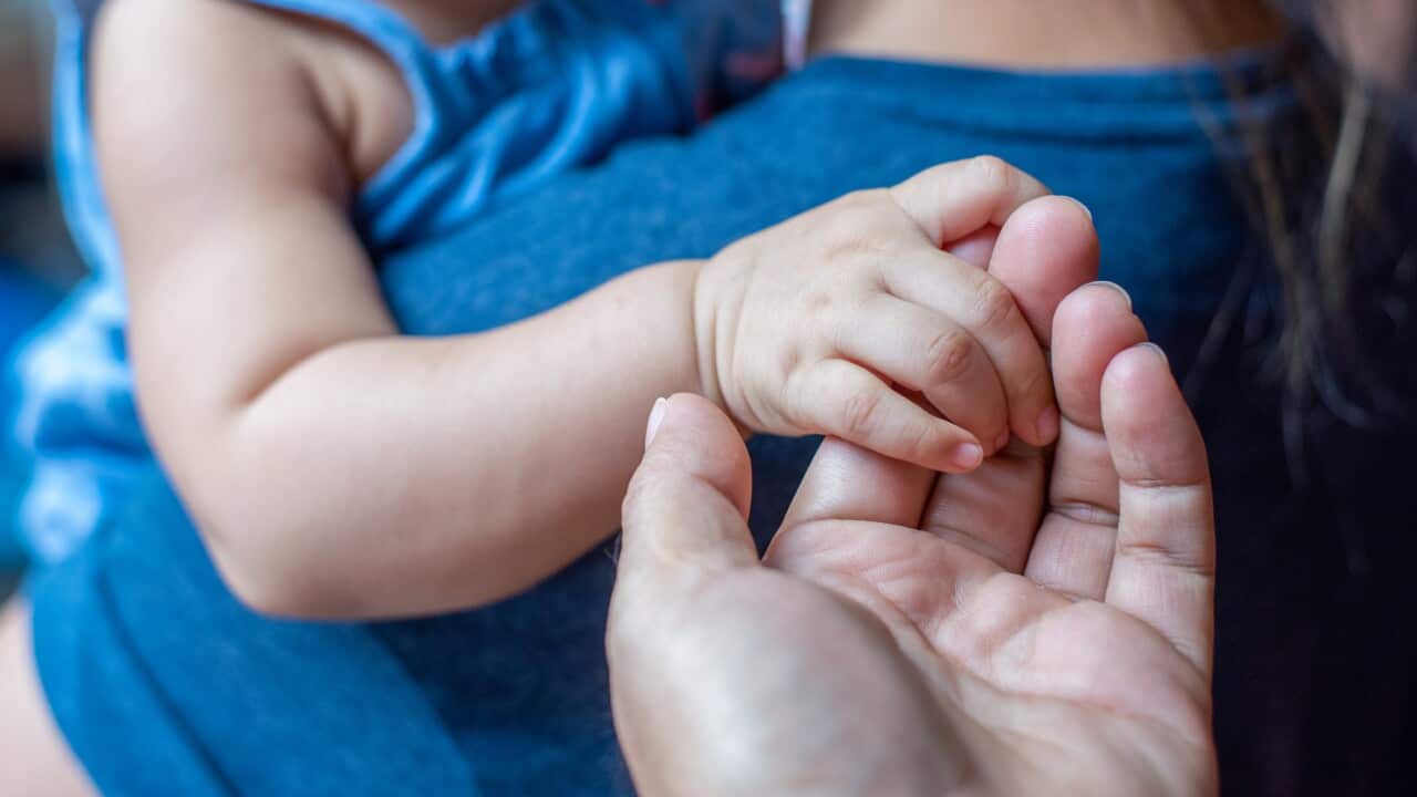 Father and child holding hands