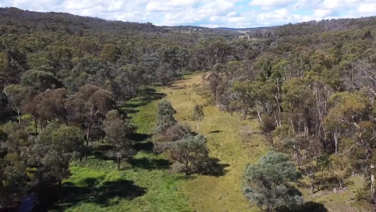 The newly purchased block of Anaiwan Country