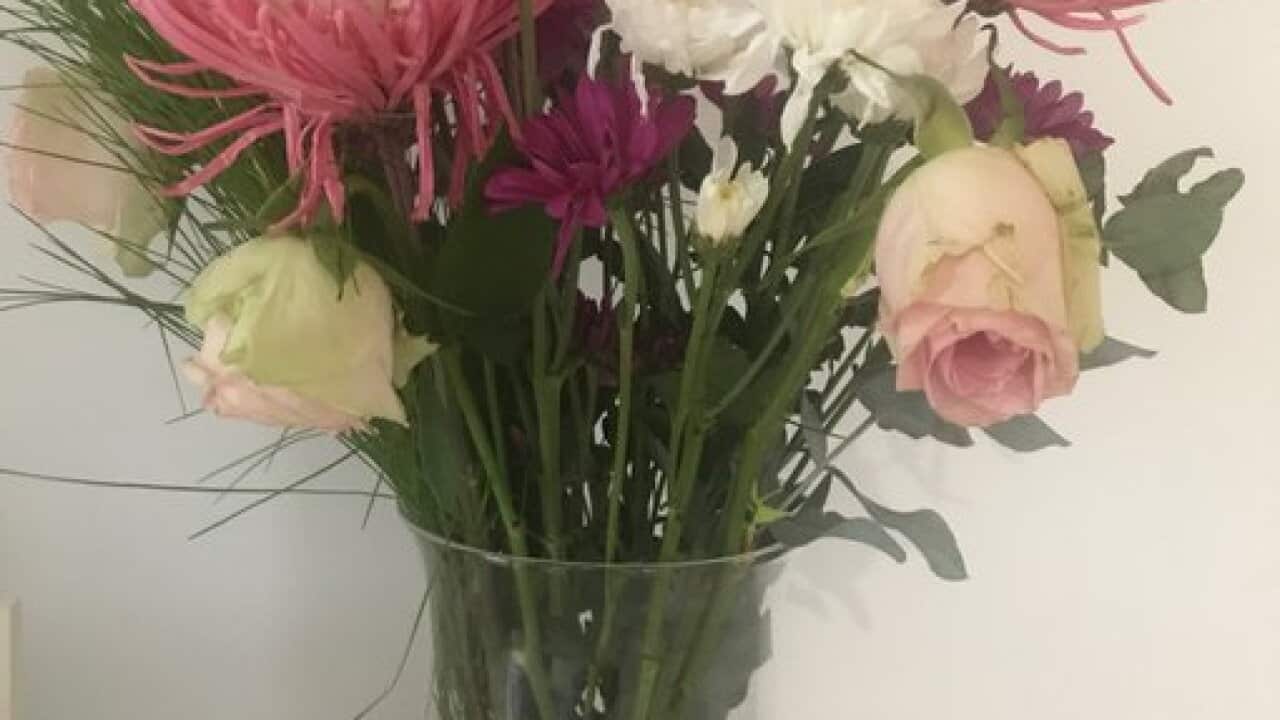 Flowers from Woolworths