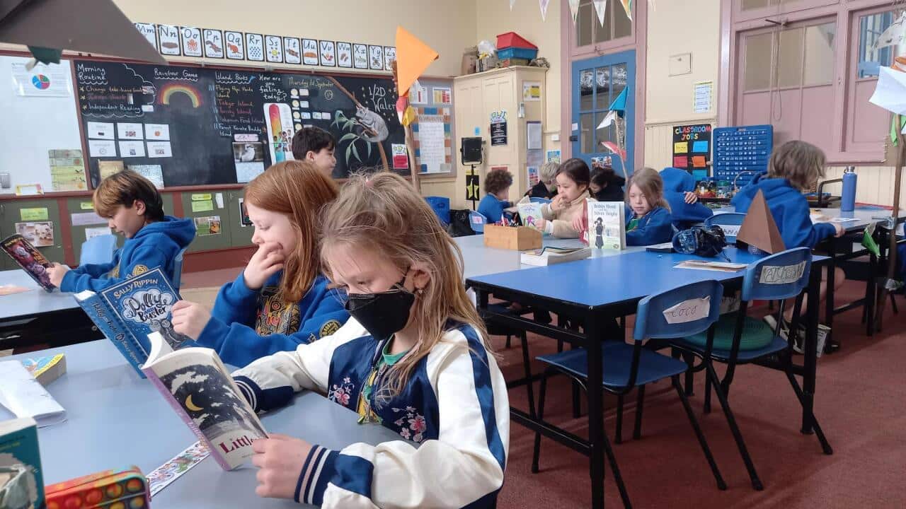 Thornbury Primary School has been part of a Victorian pilot program to help staff identify and support students with mental health issues (SBS).jpg