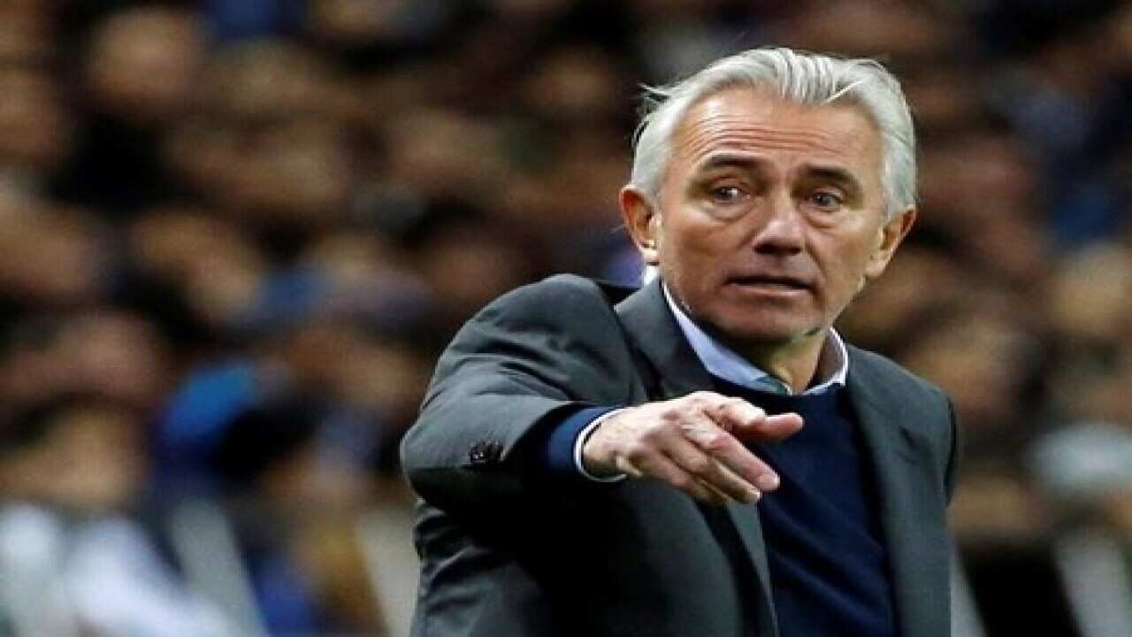 'World class' Van Marwijk to coach Australia at World Cup