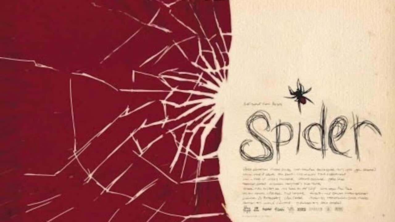 spider