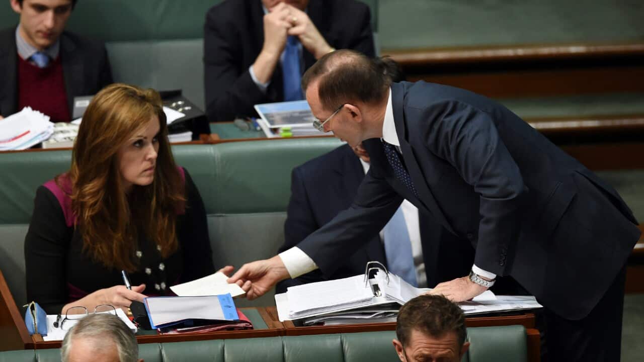 abbott