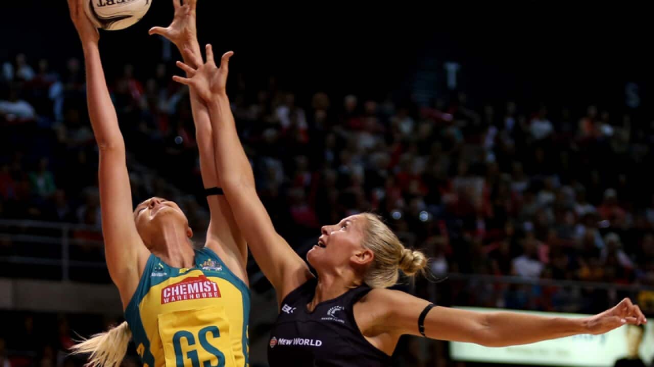 Netball stock