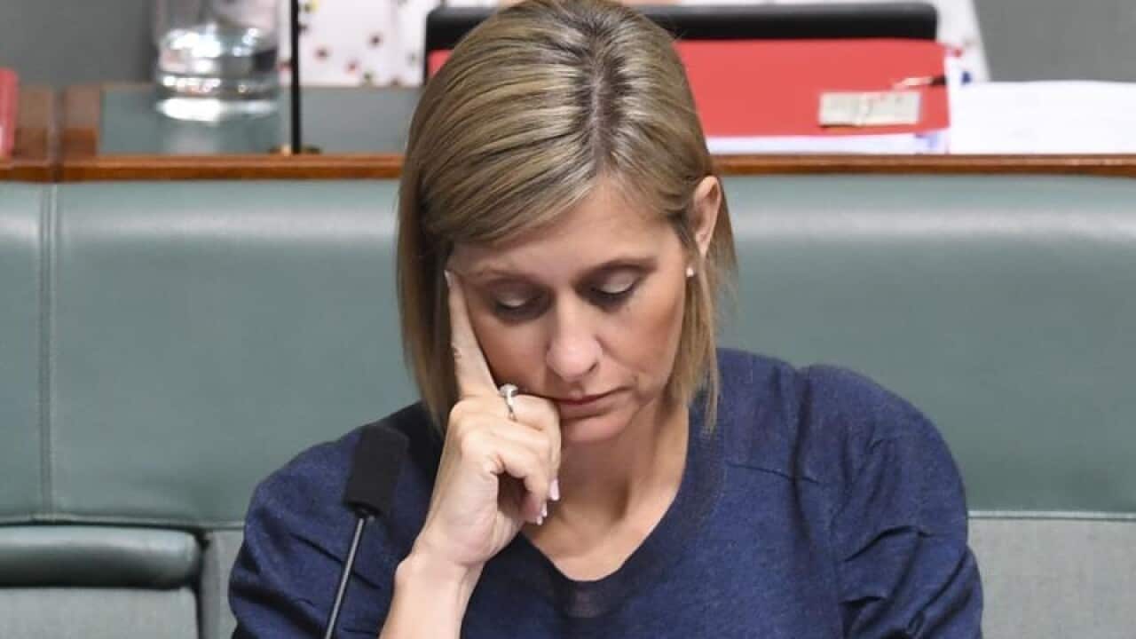 Labor backbench MP Susan Lamb