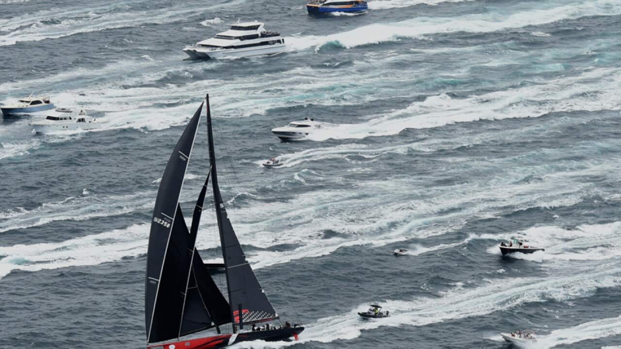 Comanche leads through the heads in the Sydney to Hobart yacht race