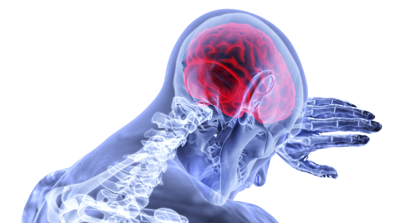 Image for read more article ''