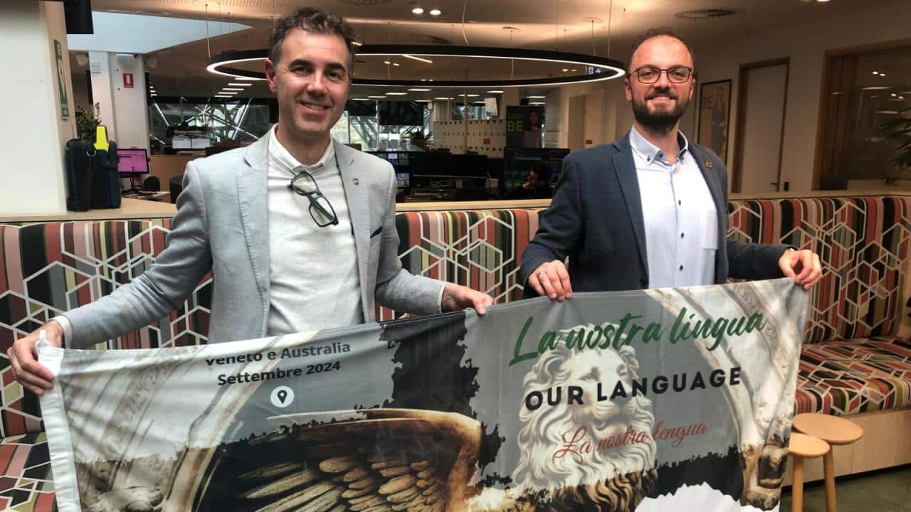 WhatsApp Image 2024-09-09 at 3.54.21 PM.jpeg