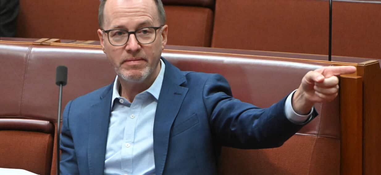 Greens choose David Shoebridge to lead party after Larissa Waters' resignation