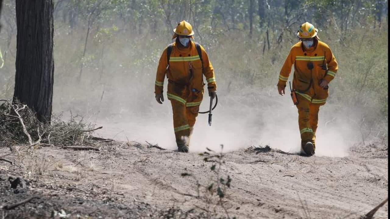 Firefighters