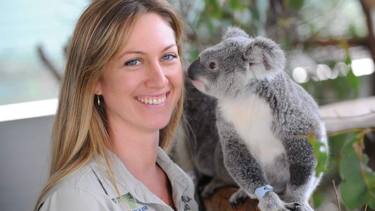 Dr Amber Gillett, veterinarian at Australia Zoo Wildlife Hospital