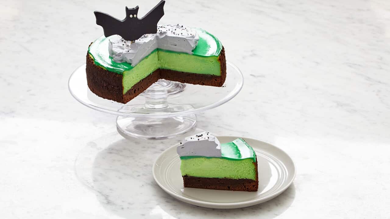 Batty chocolate mint cheesecake