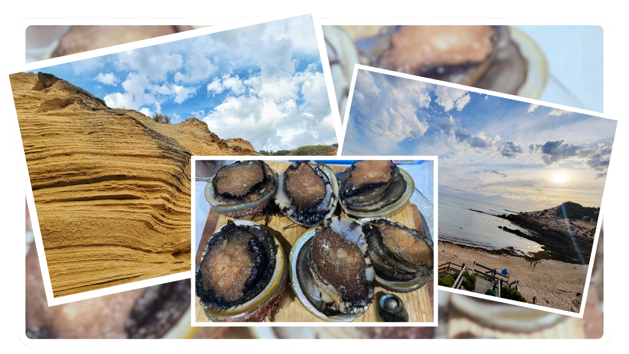 Image for read more article 'READ MORE'