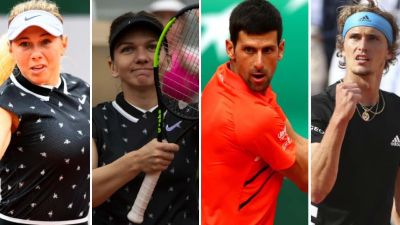 Anisimova Halep Djokovic Zverev