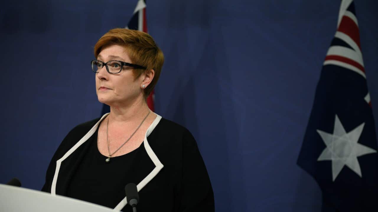 Defence Minister Marise Payne has confirmed an Australian has been detained in Iraq amid reports the two IS fighters connected to a plot to blow up a Sydney plane have been captured
