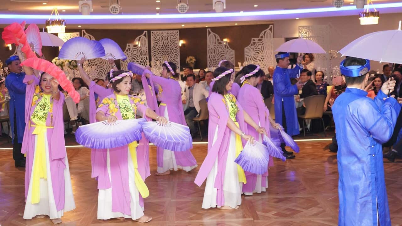 VAMSA main photo.jpg