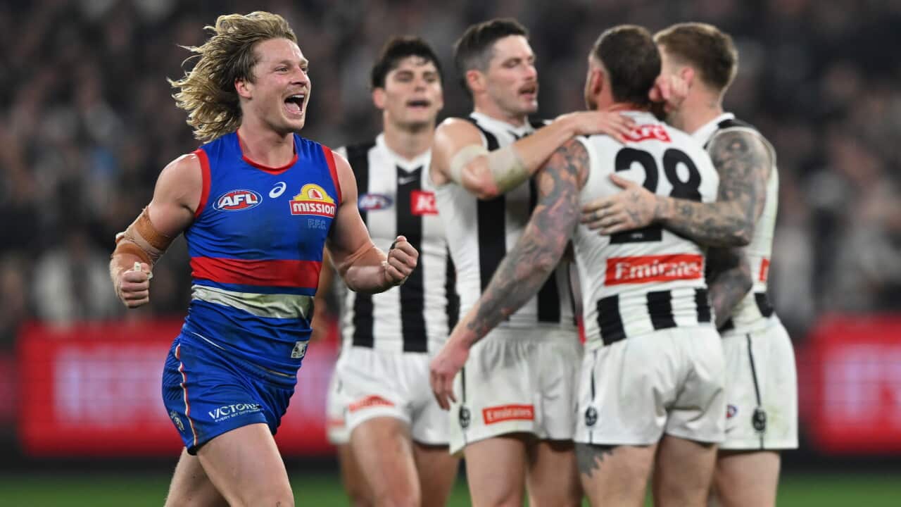 AFL BULLDOGS MAGPIES
