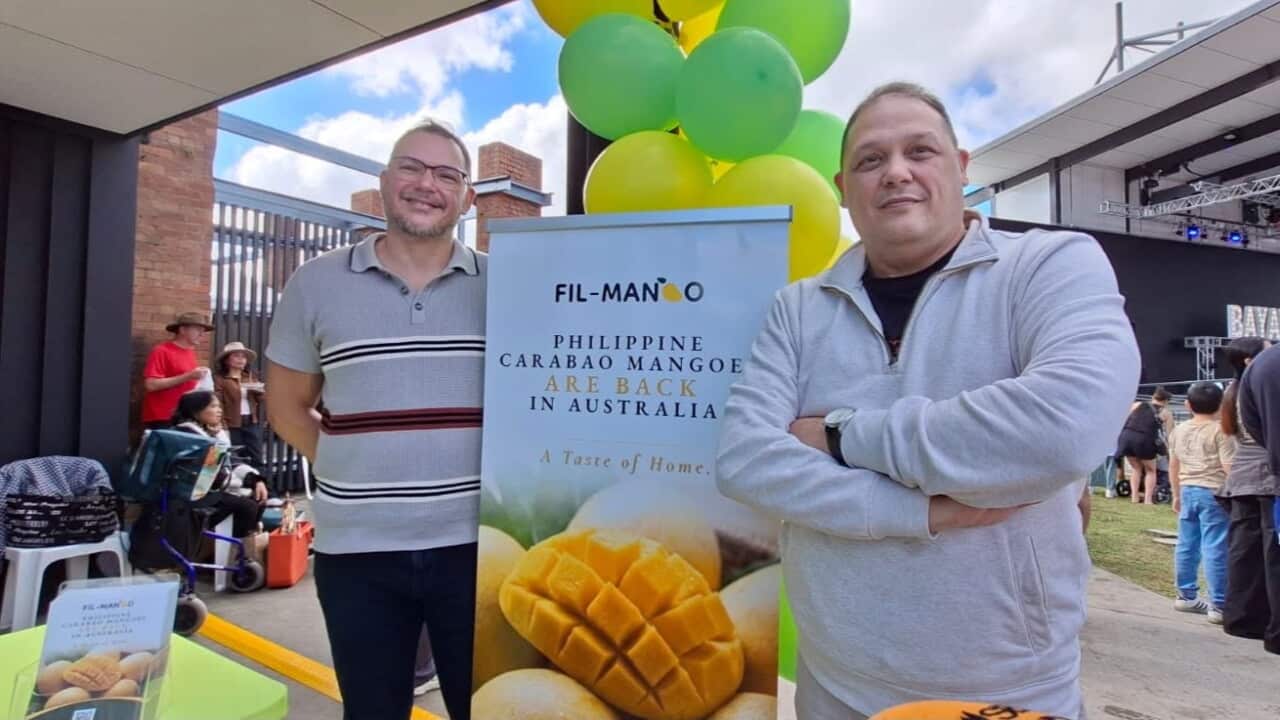 Fil-Mango owners Miguel and Vicente Ripoll stated that they will prioritise Queensland to satisfy the long-standing demand for Philippine carabao mangoes within the local Filipino community, with subsequent plans to expand to other states.