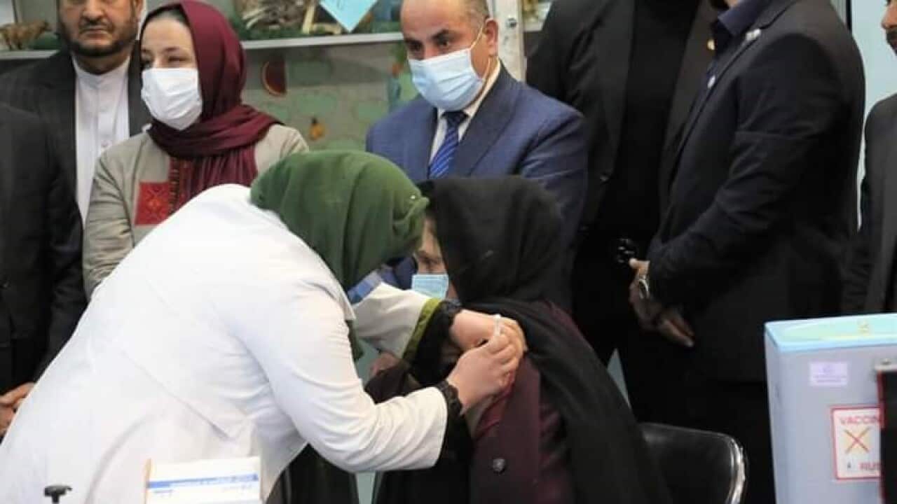 New vaccination drive in Afghanistan