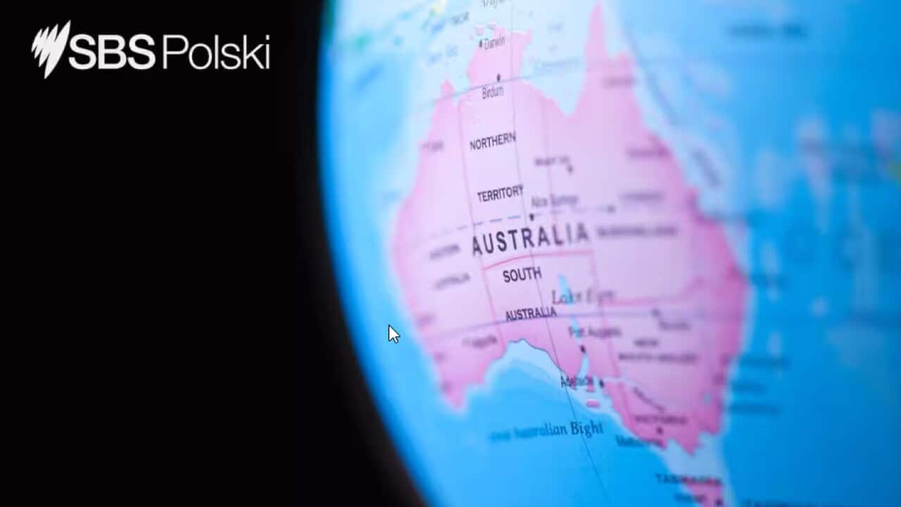 SBS News Polski.jpg