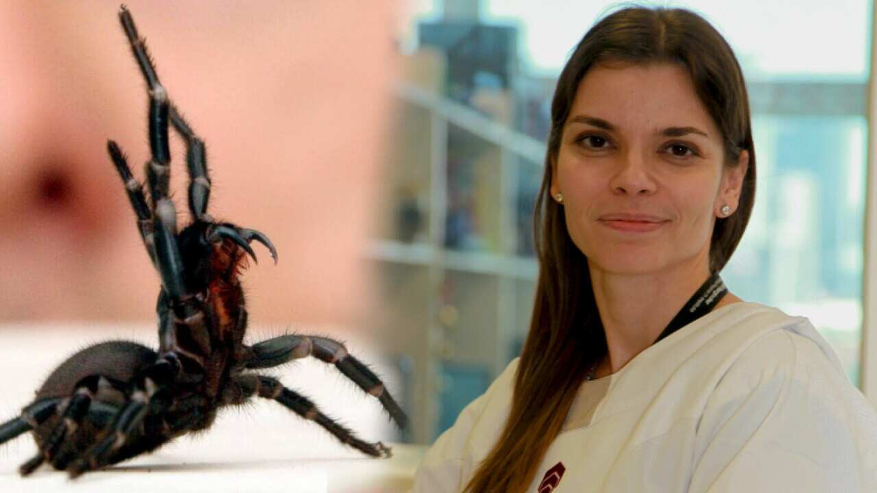 Maria Oikonomopoulou