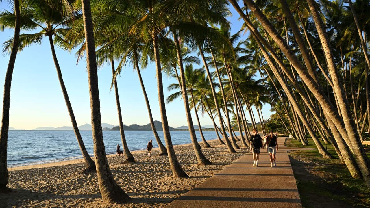 PALM COVE DAILY LIFE
