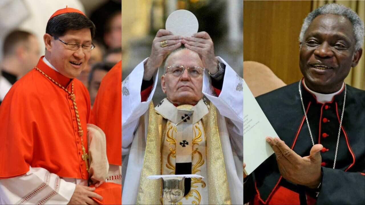 A composite image of three men in Catholic robes.