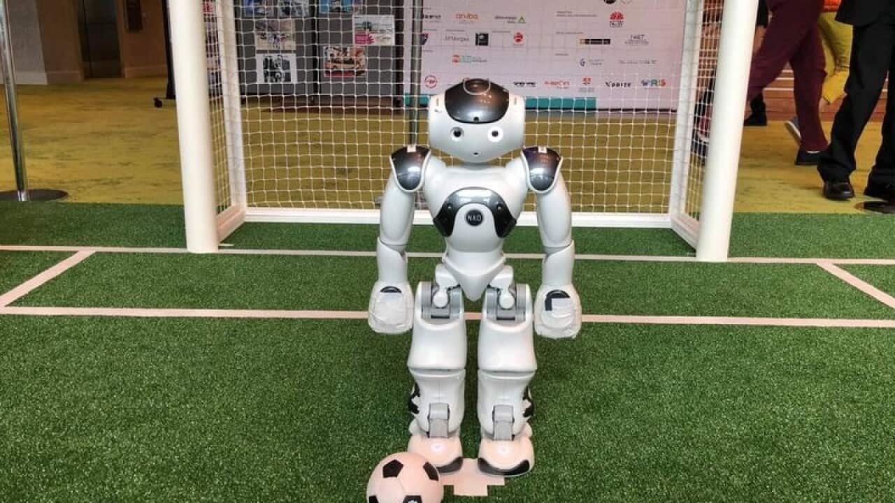 Nemo, the Nao robot, of the UNSW's Runswift team.