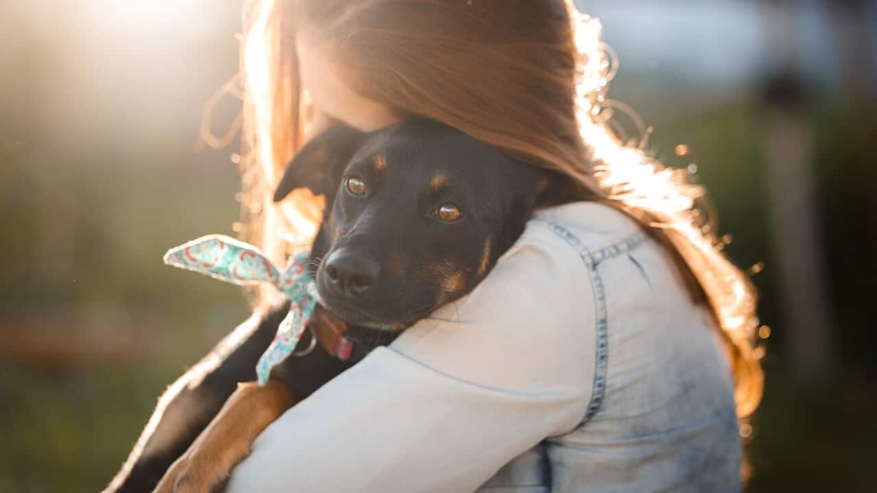 Adopting Pets