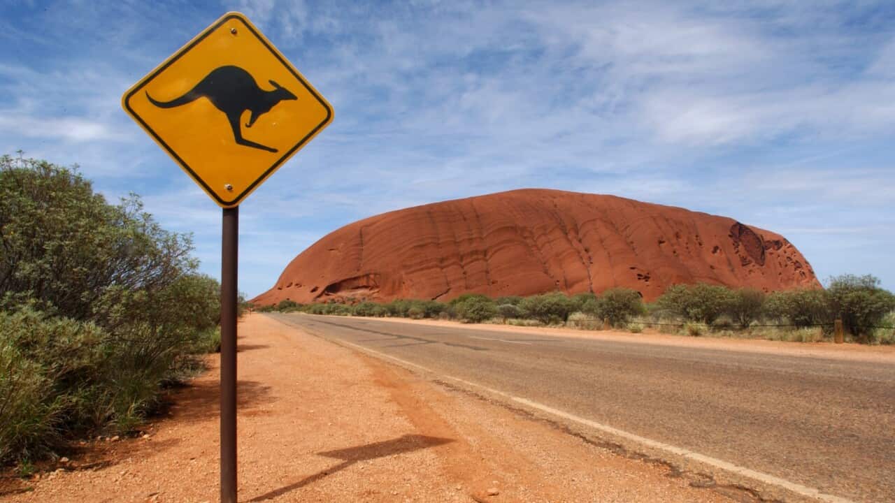 Image for read more article 'Un'iniziativa del governo a sostegno del turismo:'