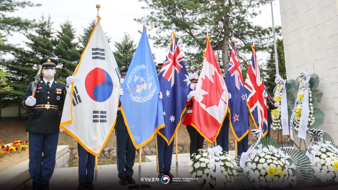 Image for read more article 'READ MORE'