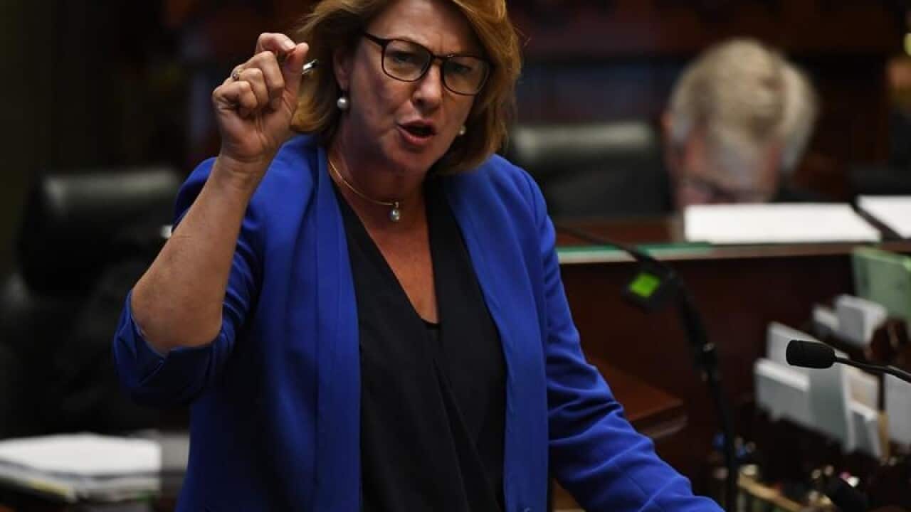 NSW minister Melinda Pavey (file image)