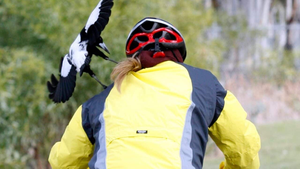 Image for read more article 'READ MORE'