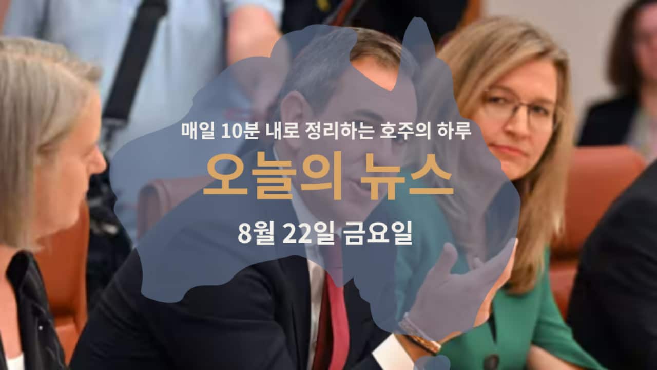 060825 (2).png