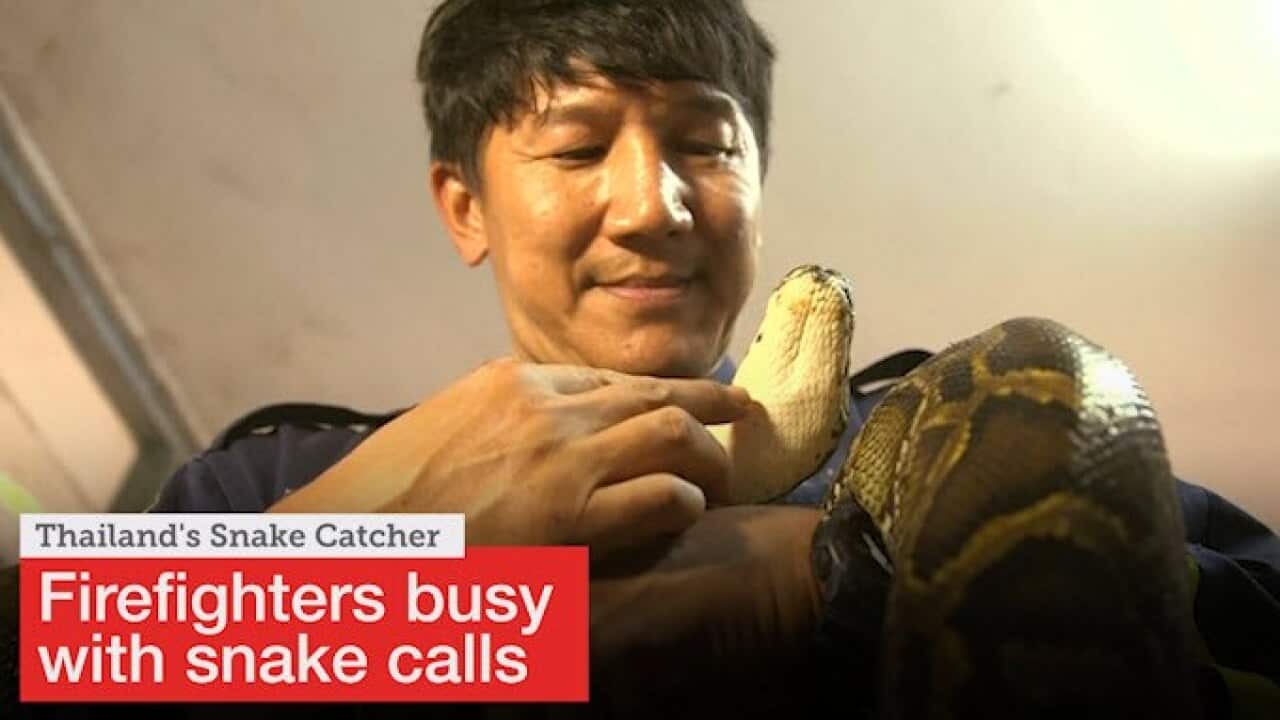 Image for read more article 'เรื่องราวที่น่าสนใจจากเอสบีเอส ไทย'