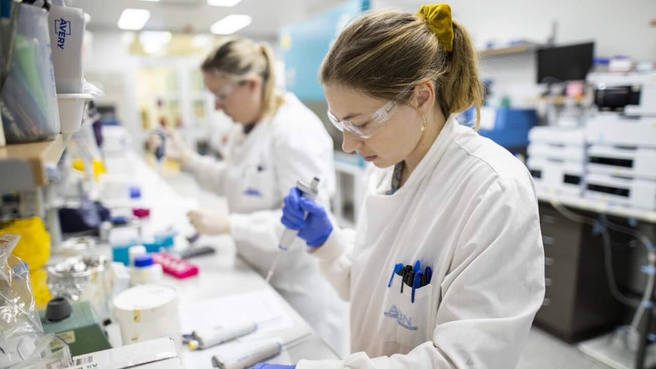 Two team members pipetting