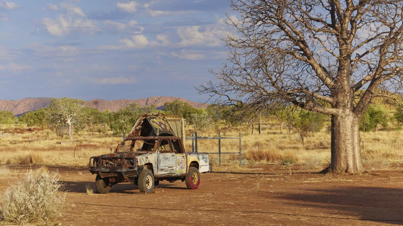 Warnarral Ngoorngoorrool on Gija Country, 2021. Photo by Jess Wyld (1).jpg